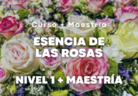 Esencia de las Rosas