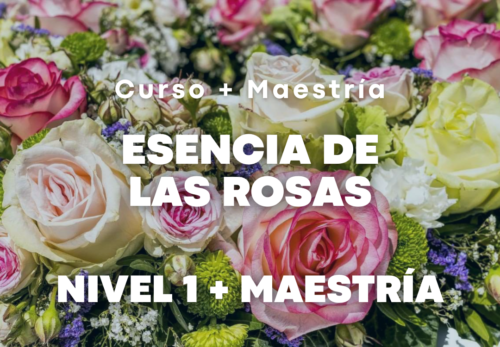 Esencia de las Rosas